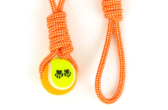 An palpate Cotton Funis Tennis Pet Dog Toys apta ad usum tectis et velit?